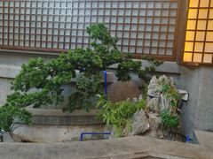 -烹湘·鲜炒湖南土菜(海珠店)