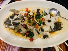-顺德了能馆(虎门店)