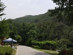 -木兰云雾山