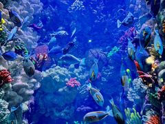 -海合安青岛极地海洋公园