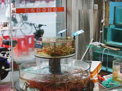 -强记海鲜·大排档(蛇口新街店)