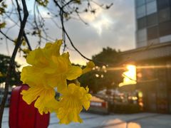 -飞翔公园(地铁站)