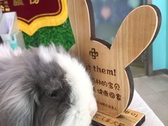 -雨林宠物医院 非犬猫异宠专科