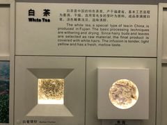 -中国茶叶博物馆(双峰馆区)