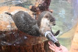 -Zoolung Zoolung动物主题公园(海信广场店)