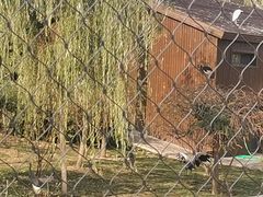 -太原动物园
