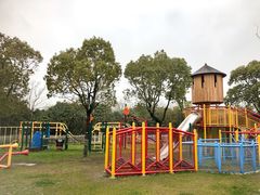 -上海海湾国家森林公园