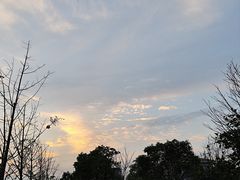 -羊子两室一厅(八一广场店)