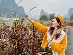 -明仕田园