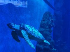 -成都浩海立方海洋公园