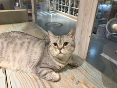 -小时光咖啡馆(开森度假森林店)