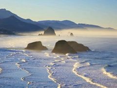 -N多寿司(万尚城店)