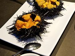 原壳活海胆-东莱馋房(陆家嘴店)