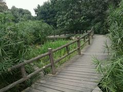 -成都市活水公园
