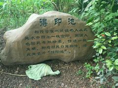 -东山香樟园