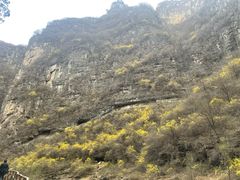 -红豆峡
