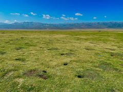 -祁连山草原