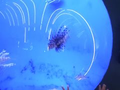 -江和美海洋公园