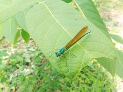 -碓臼峪自然风景区