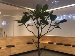 -喜茶(东莞汇一城店)