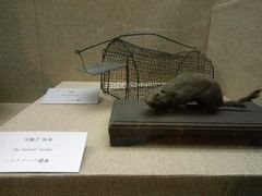 -沈阳“九·一八”历史博物馆