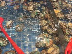 -焰江山海鲜牛排烤肉自助(锦华万达二星店)
