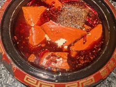 -蜀辣居鲜货老火锅(红牌楼店)