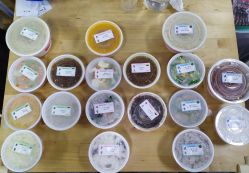 -广禾堂月子餐(国妇婴店)