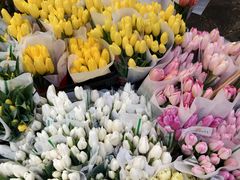 -循礼门鲜花花市(武汉循礼门店)