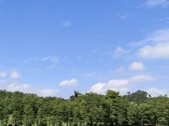 -东莞植物园