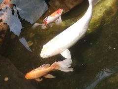 -上海大自然野生昆虫馆(东方明珠·爬宠昆虫探索中心)