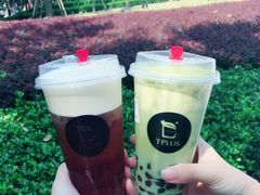 -TPLUS茶家(淮海店)