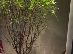 -森SPA·泰式按摩·精油Massage(宝安中心店)