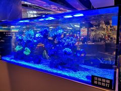 -一方渔歌蒸汽海鲜自助(文化路万达广场店)