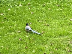 -苏州河梦清园环保主题公园