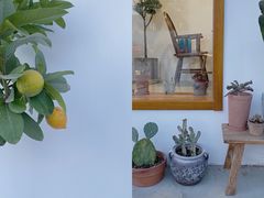 -AHAVA·Fang Baking Studio