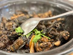 -绿岛国际酒店·海鲜酒楼(八七路店)