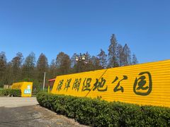 -渌洋湖湿地公园