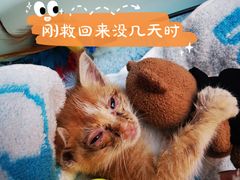 -拜鲁耶动物诊疗中心·宠家动物医院