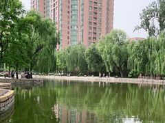 -团结湖公园