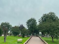 -汉长安城未央宫国家考古遗址公园