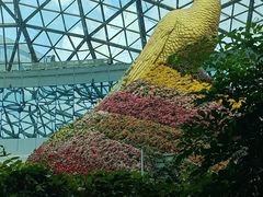 -花之城