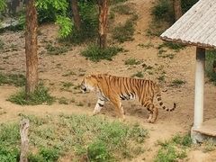 -石家庄市动物园