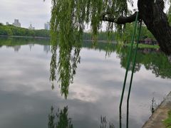 -东湖生态旅游风景区