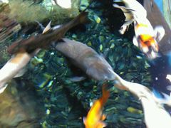 -上海海洋水族馆-停车场