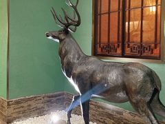 -新白鹿餐厅(银泰西湖文化广场店)