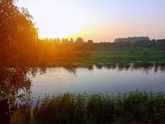 -蒲河岛湿地公园