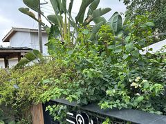 -云里小坐·小院里·团建·宴请·下午茶(三圣乡店)