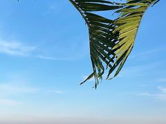 -巧克力渔家.小船海鲜家常菜(万平口店)