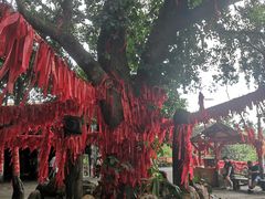 -海南槟榔谷黎苗文化旅游区